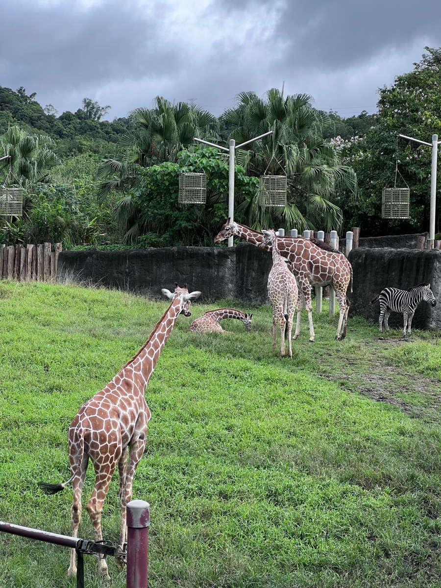臺北市立動物園 | 去趣 chicTrip
