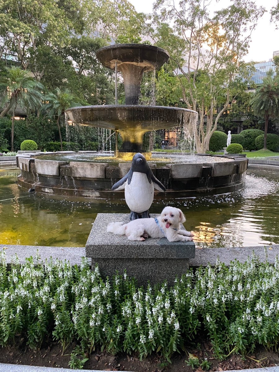 松山文創園區 | 去趣 chicTrip