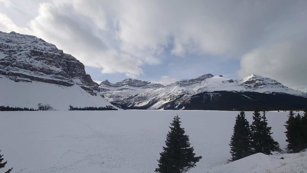 Bow Lake Viewpoint