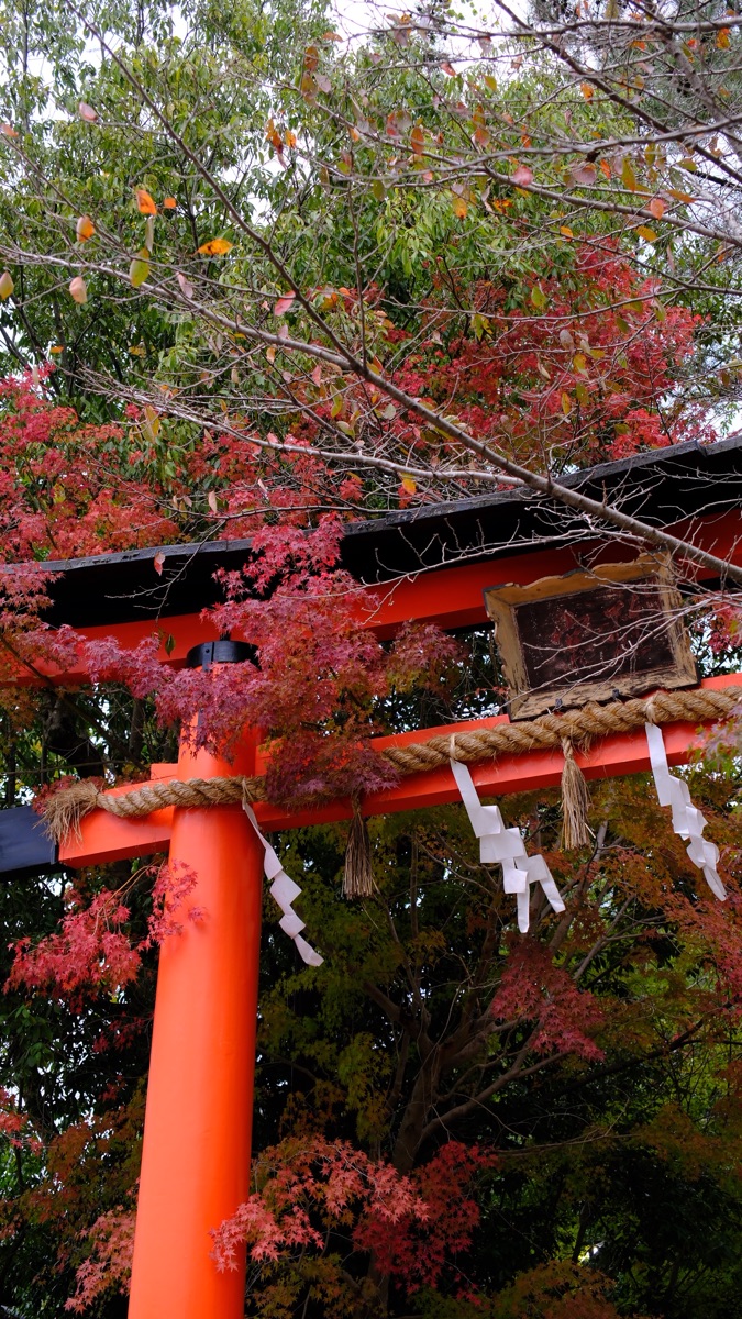 宇治上神社 | 去趣 chicTrip