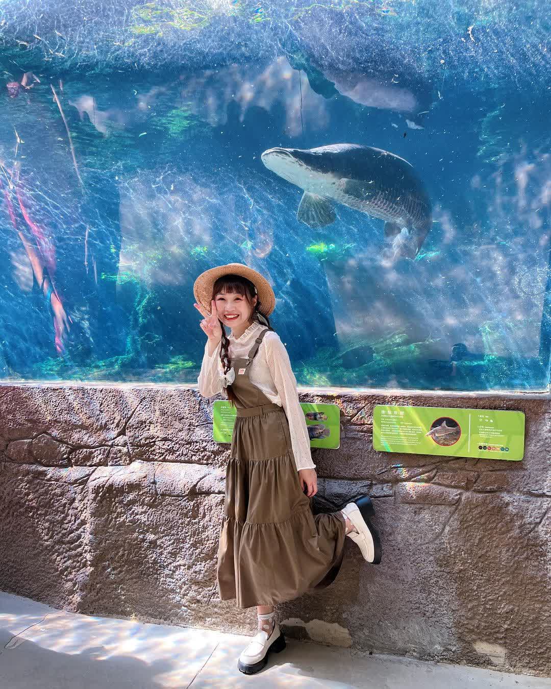 臺北市立動物園 | 去趣 chicTrip