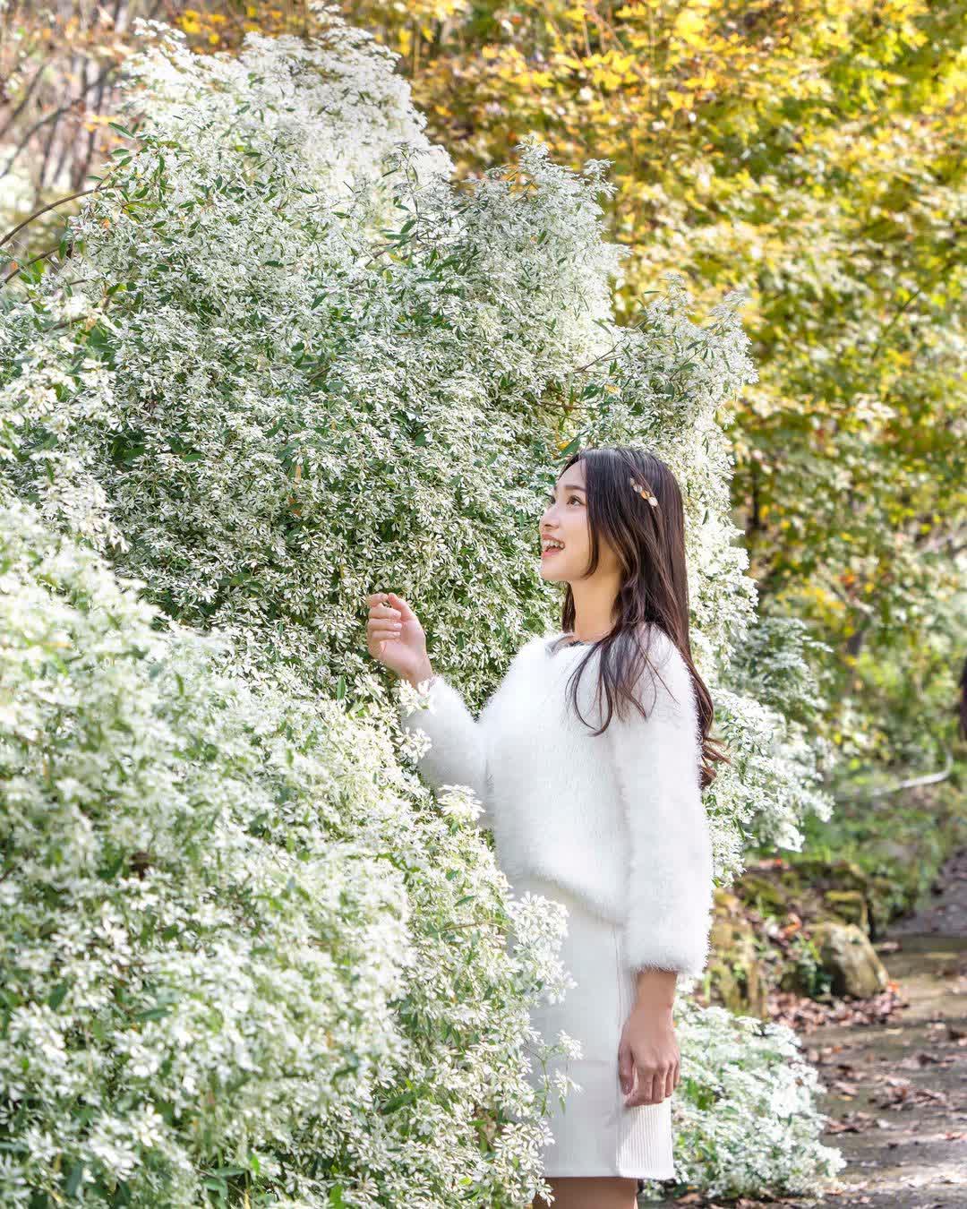 阿里山森林鐵路車庫園區