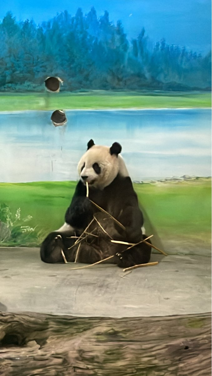 臺北市立動物園 | 去趣 chicTrip