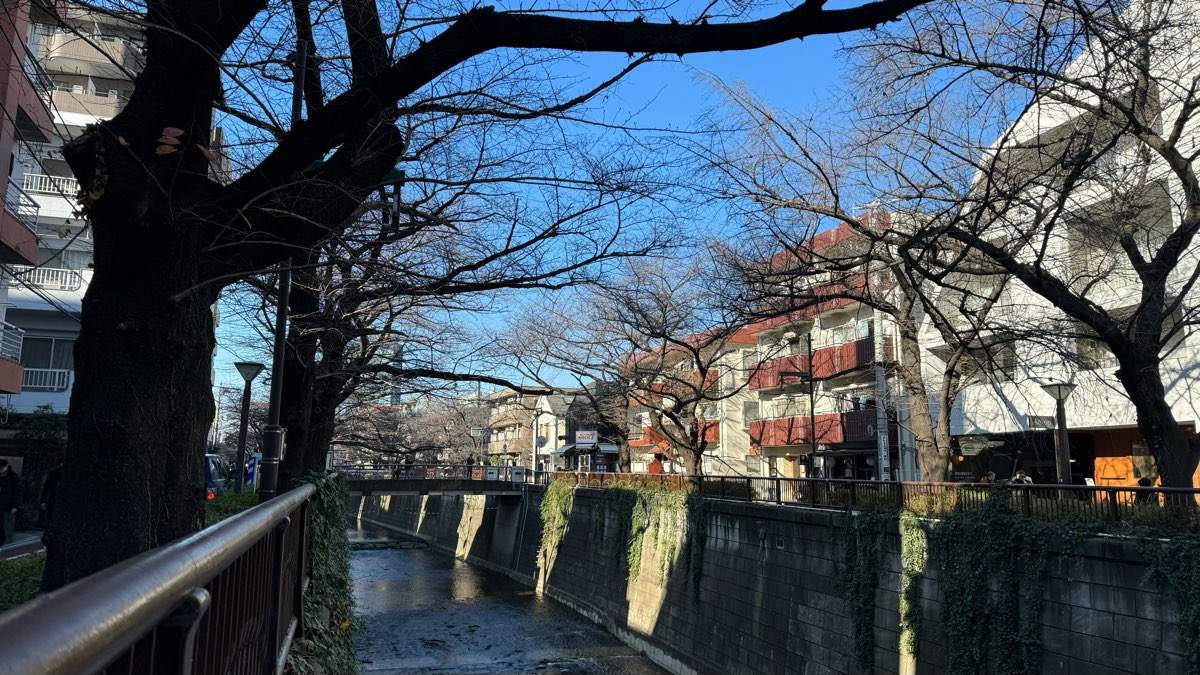 目黑川櫻花