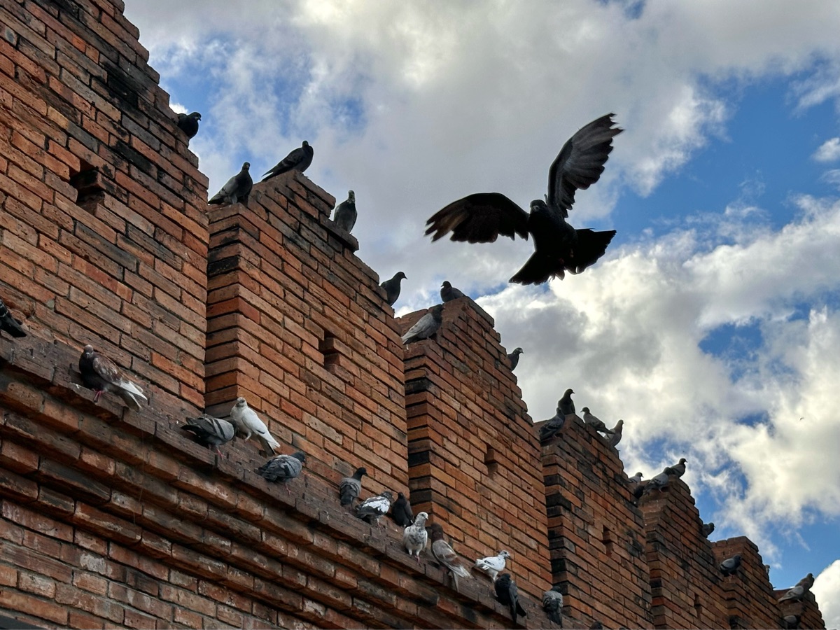 清邁古城塔佩門 | 去趣 chicTrip