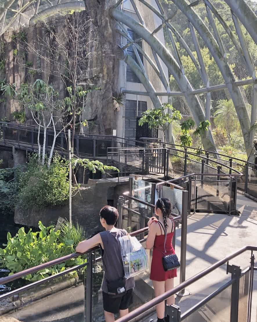 臺北市立動物園 | 去趣 chicTrip