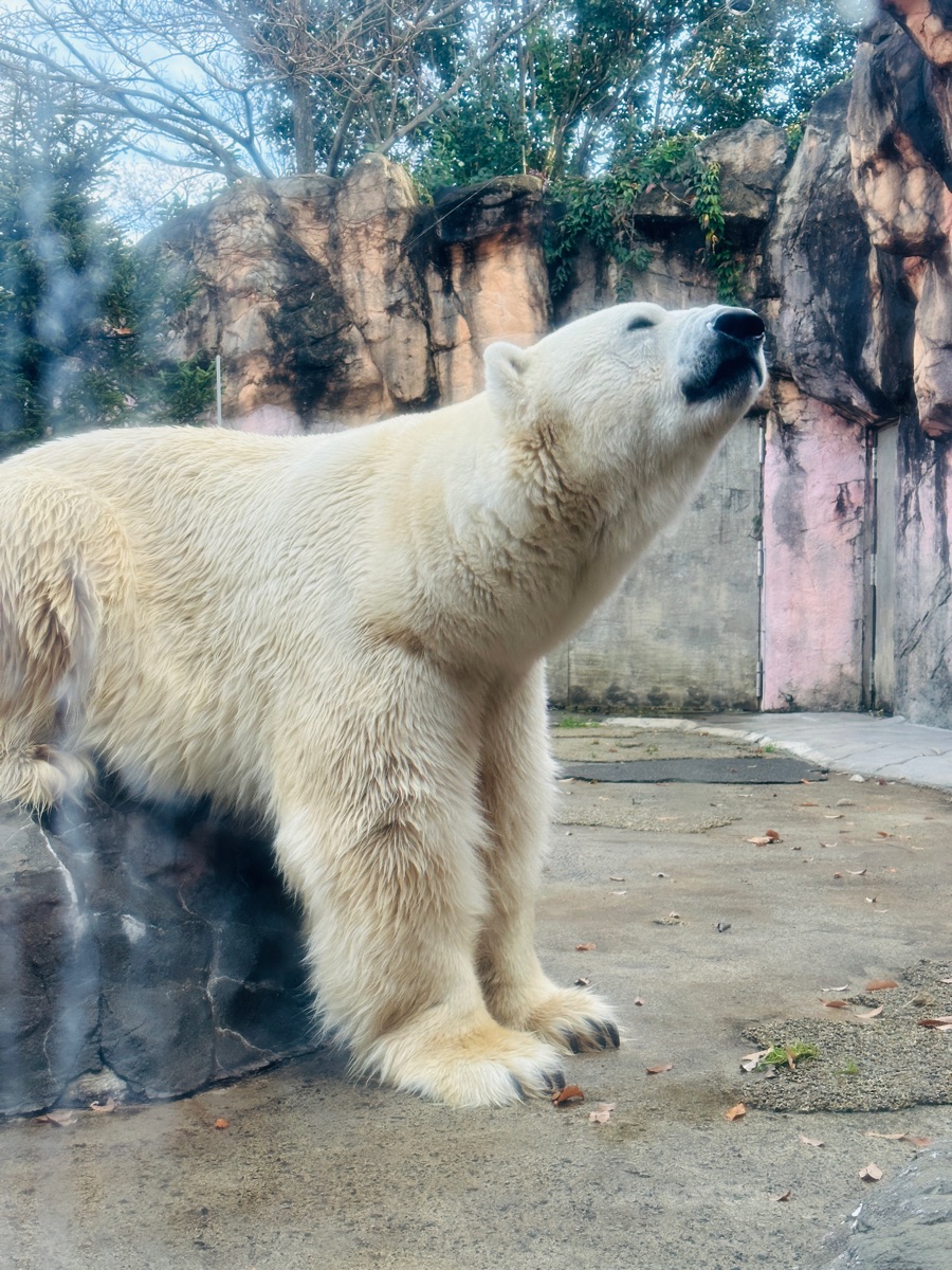 八木山動物公園