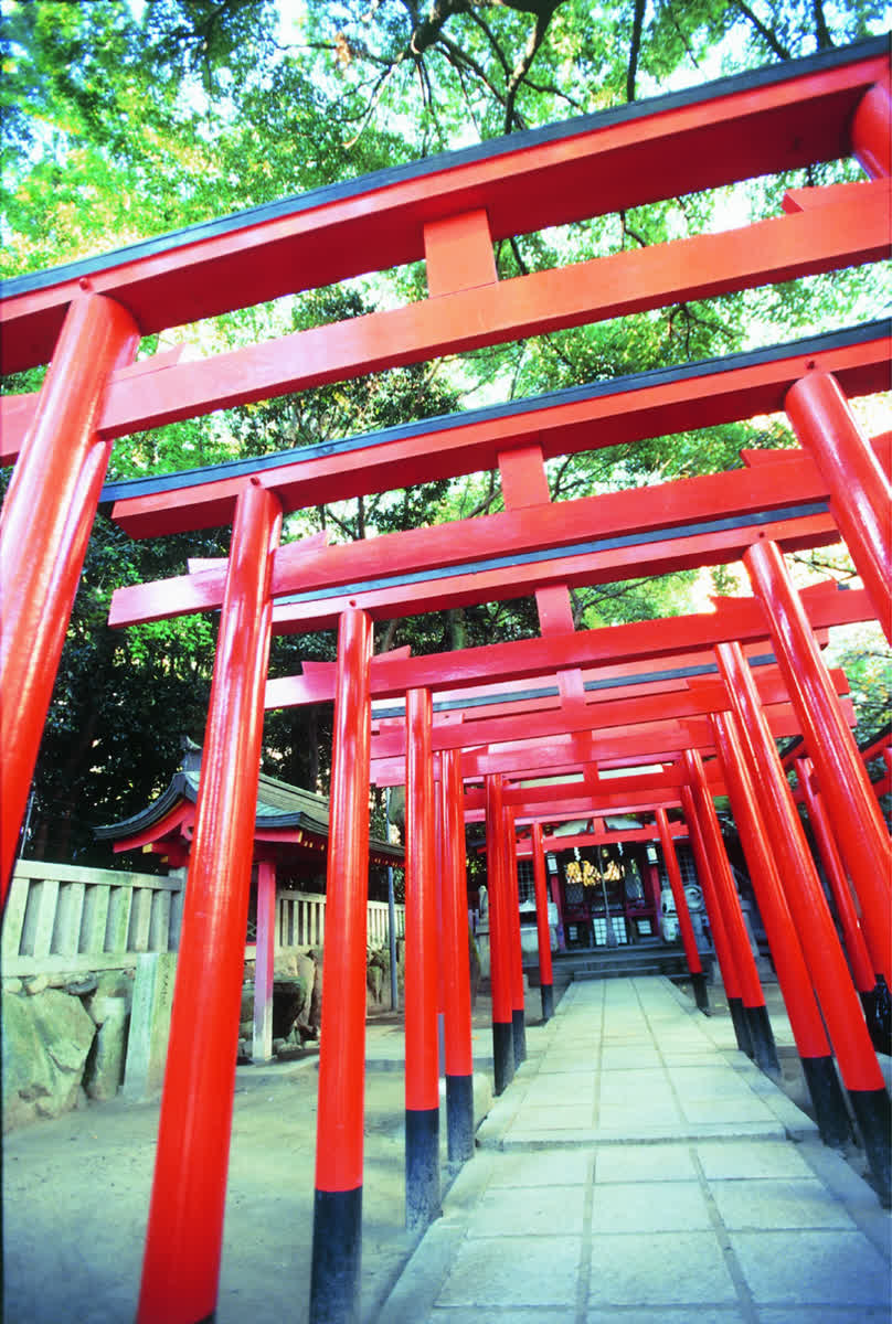 去趣chicTrip｜網頁版 - 生田神社