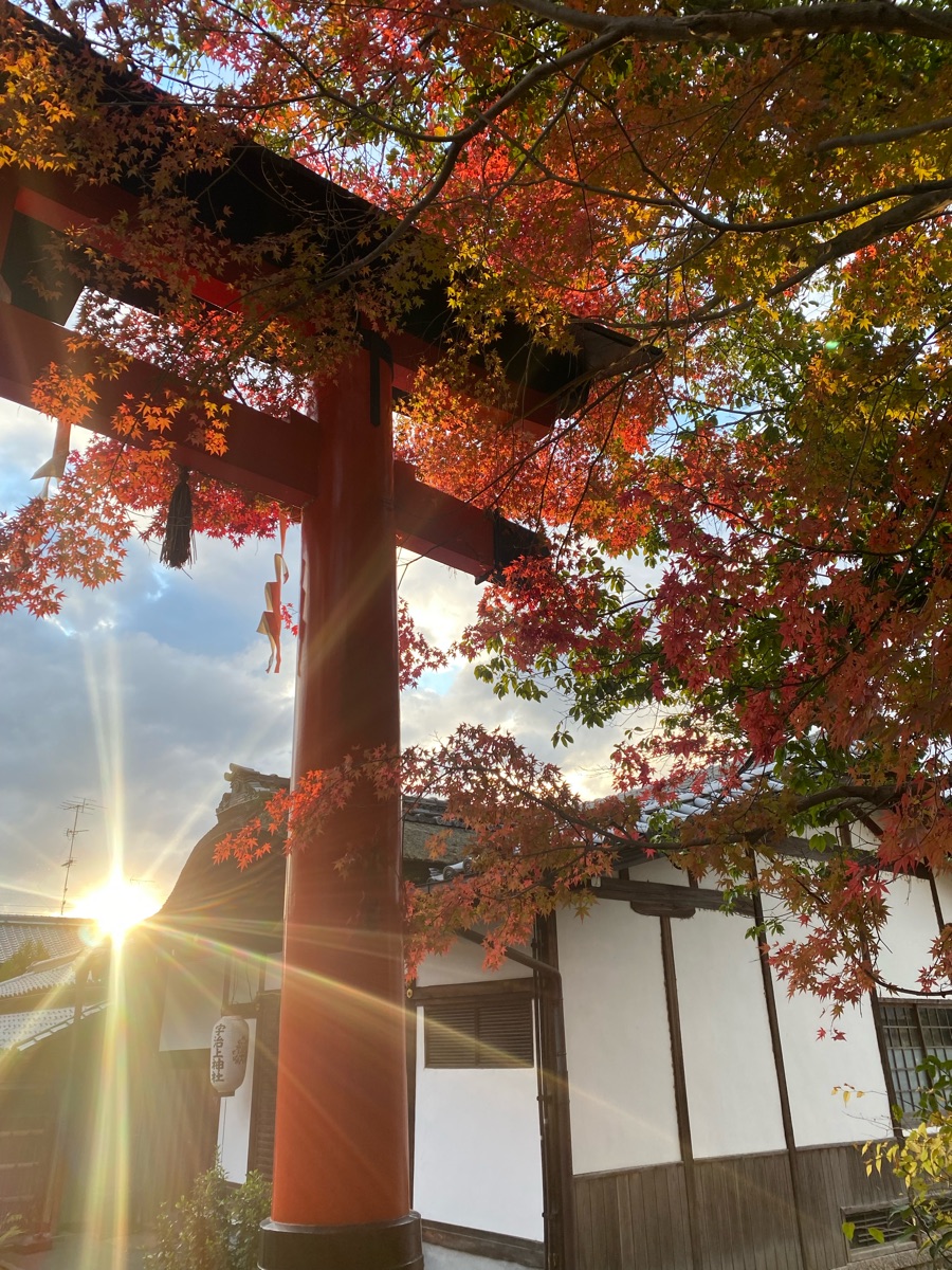 宇治上神社 | 去趣 chicTrip