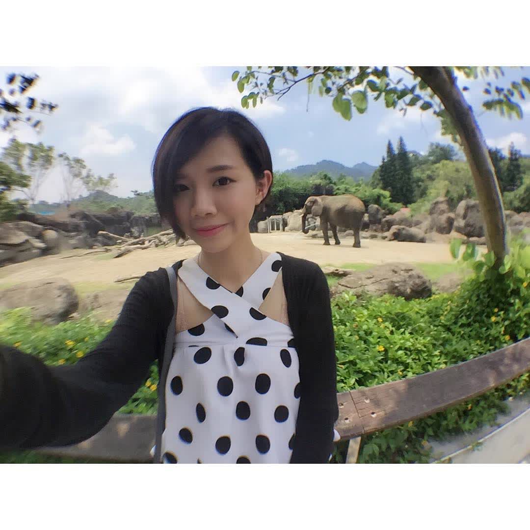 臺北市立動物園 | 去趣 chicTrip