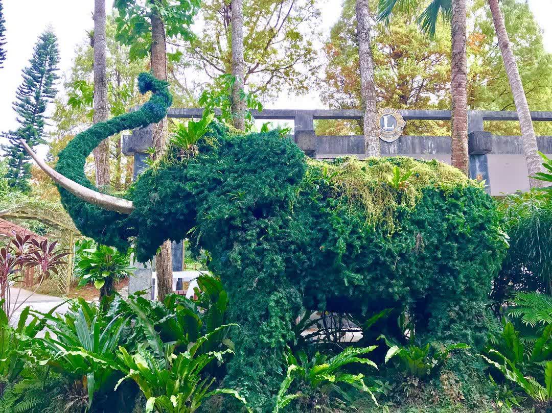 臺北市立動物園 | 去趣 chicTrip