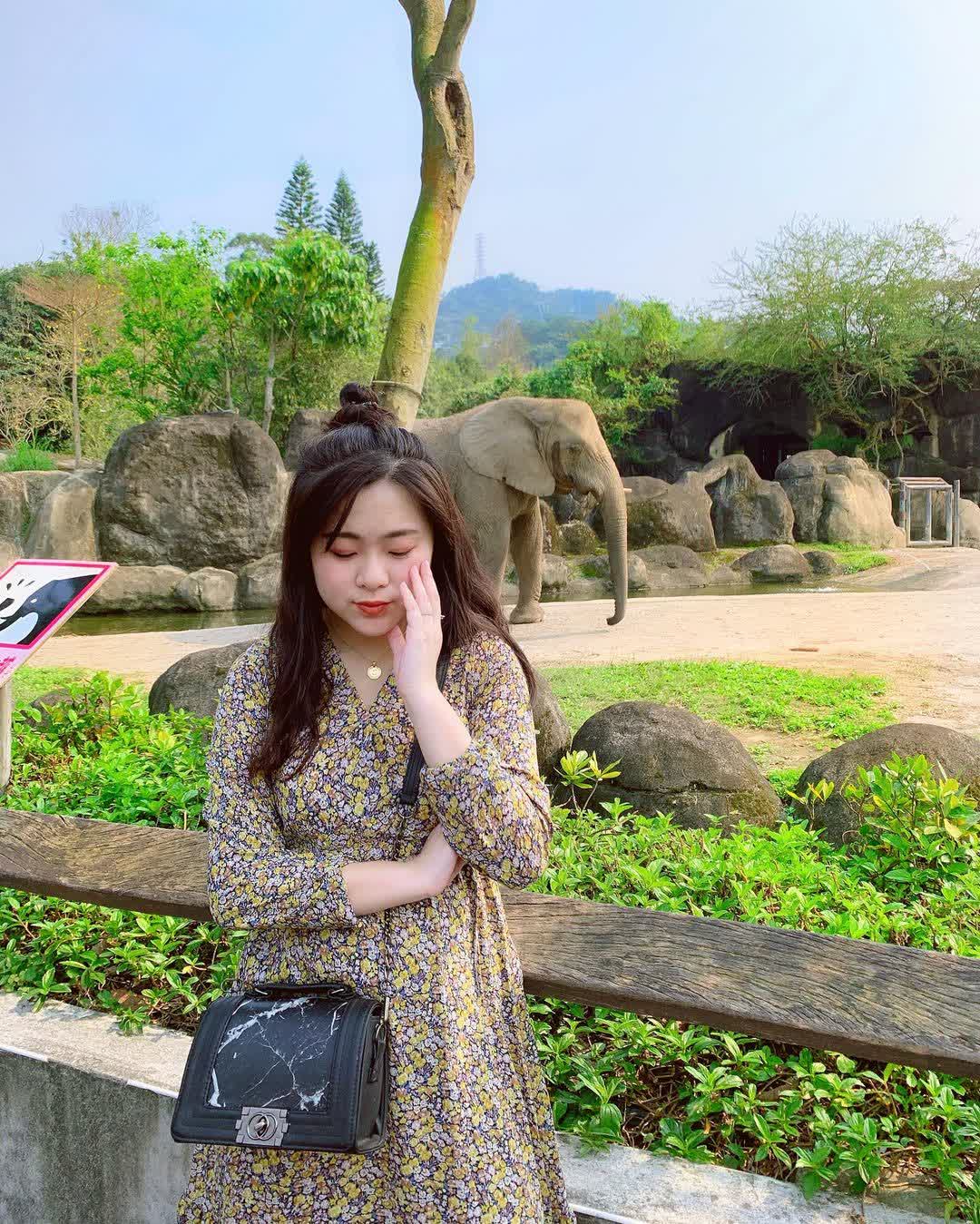 臺北市立動物園 | 去趣 chicTrip