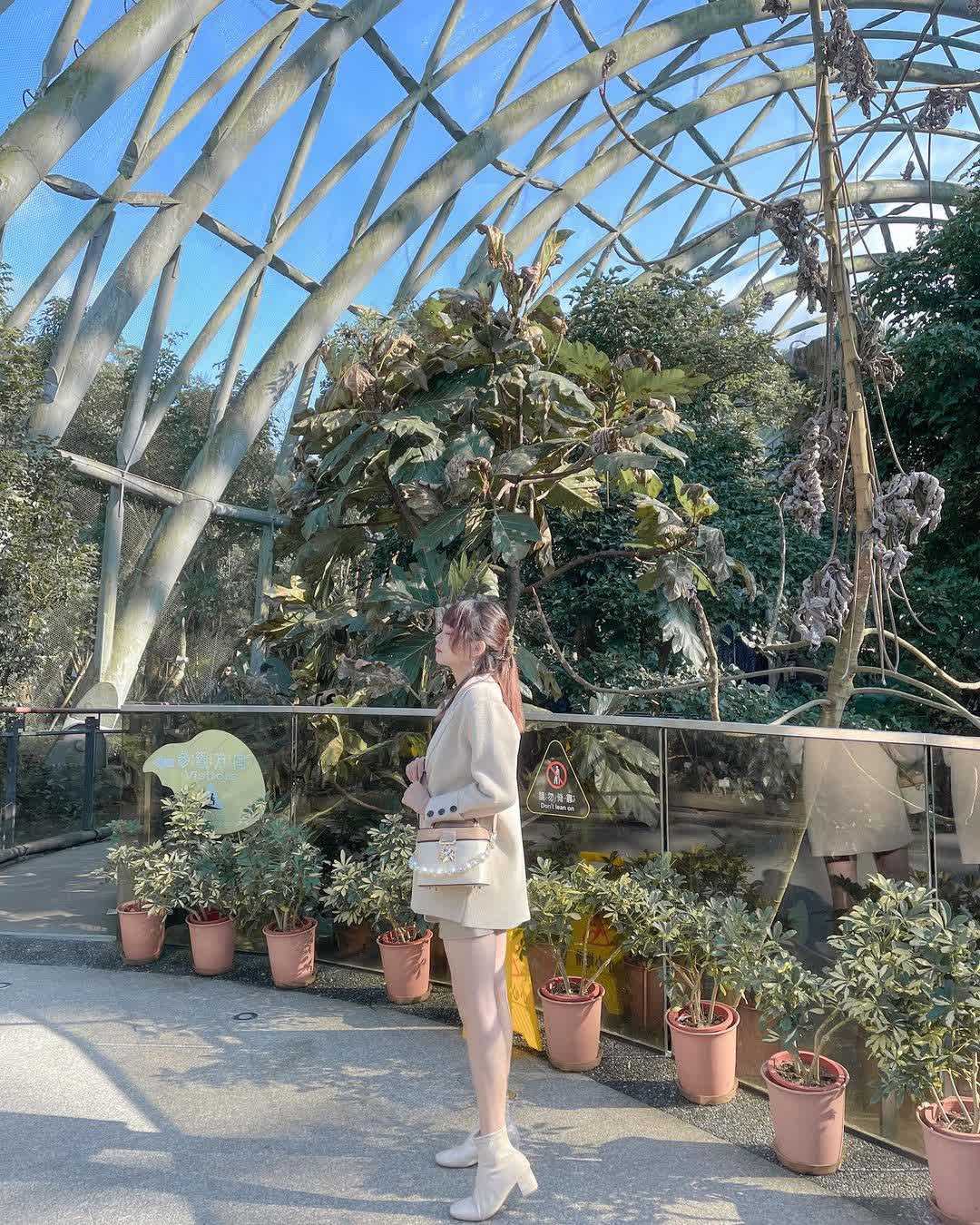 臺北市立動物園 | 去趣 chicTrip