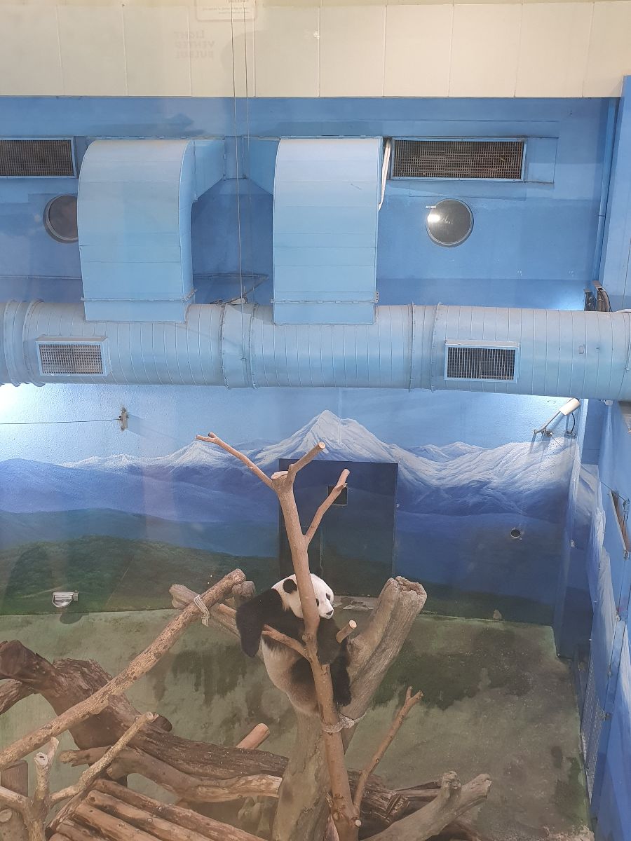 臺北市立動物園 | 去趣 chicTrip