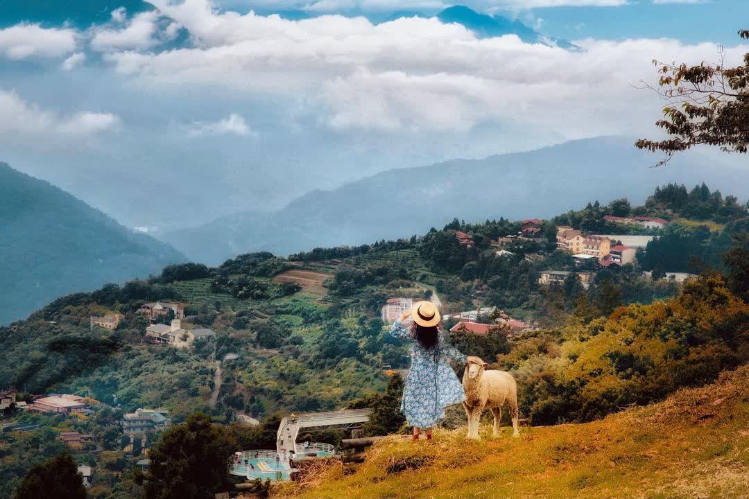 清境農場觀山牧區