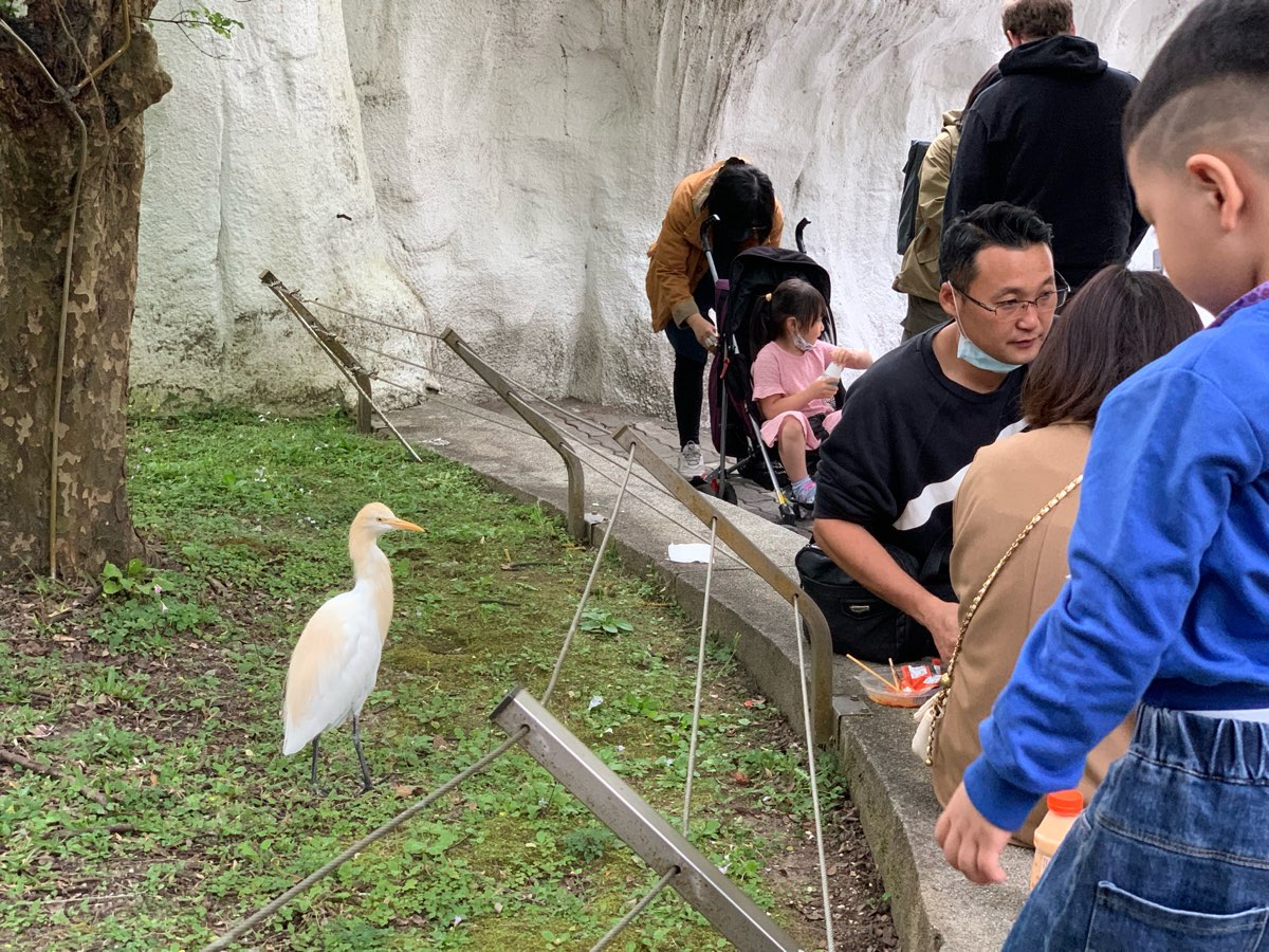 臺北市立動物園 | 去趣 chicTrip