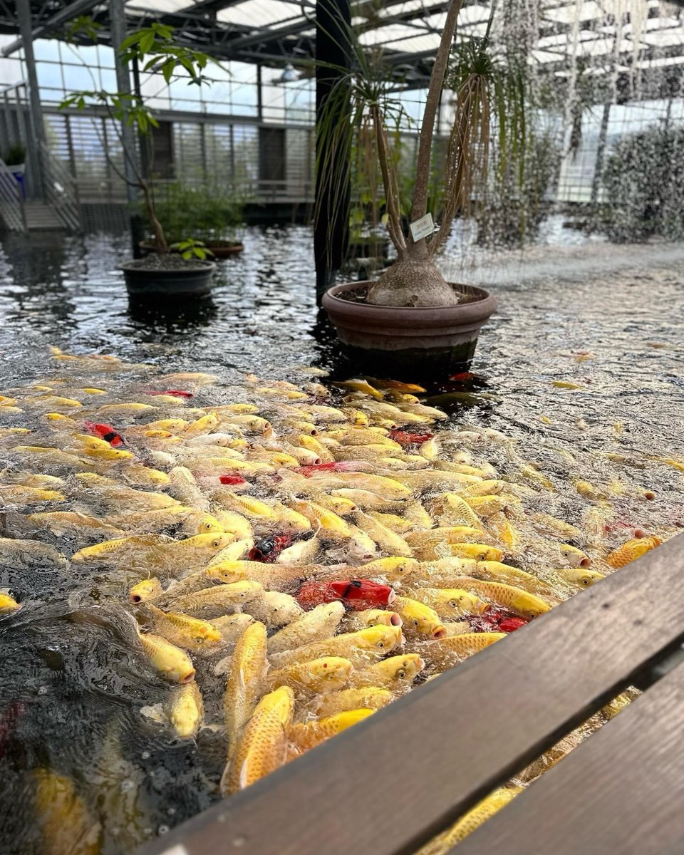 去趣chicTrip｜網頁版 - 金車礁溪蘭花園附設動植物生態館