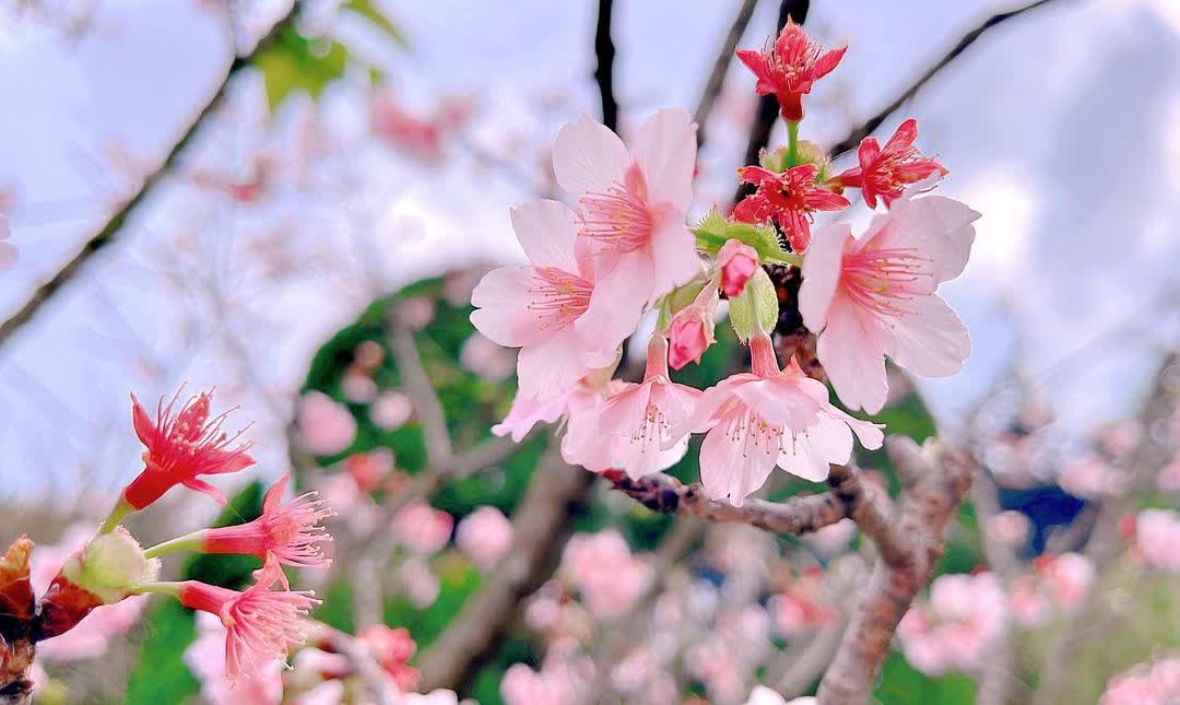 國立中正紀念堂 | 去趣 chicTrip