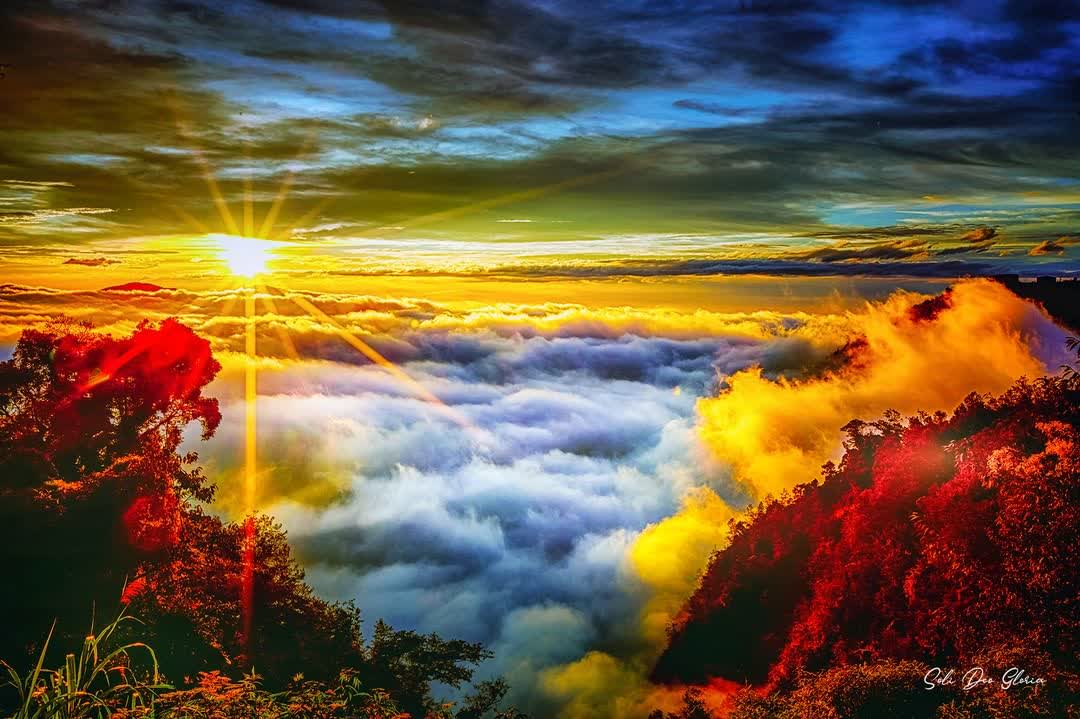 杉林溪森林生態渡假園區