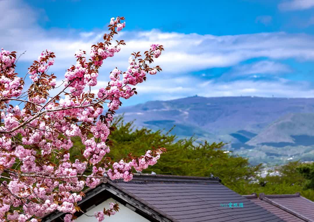 五稜郭公園 | 去趣 chicTrip