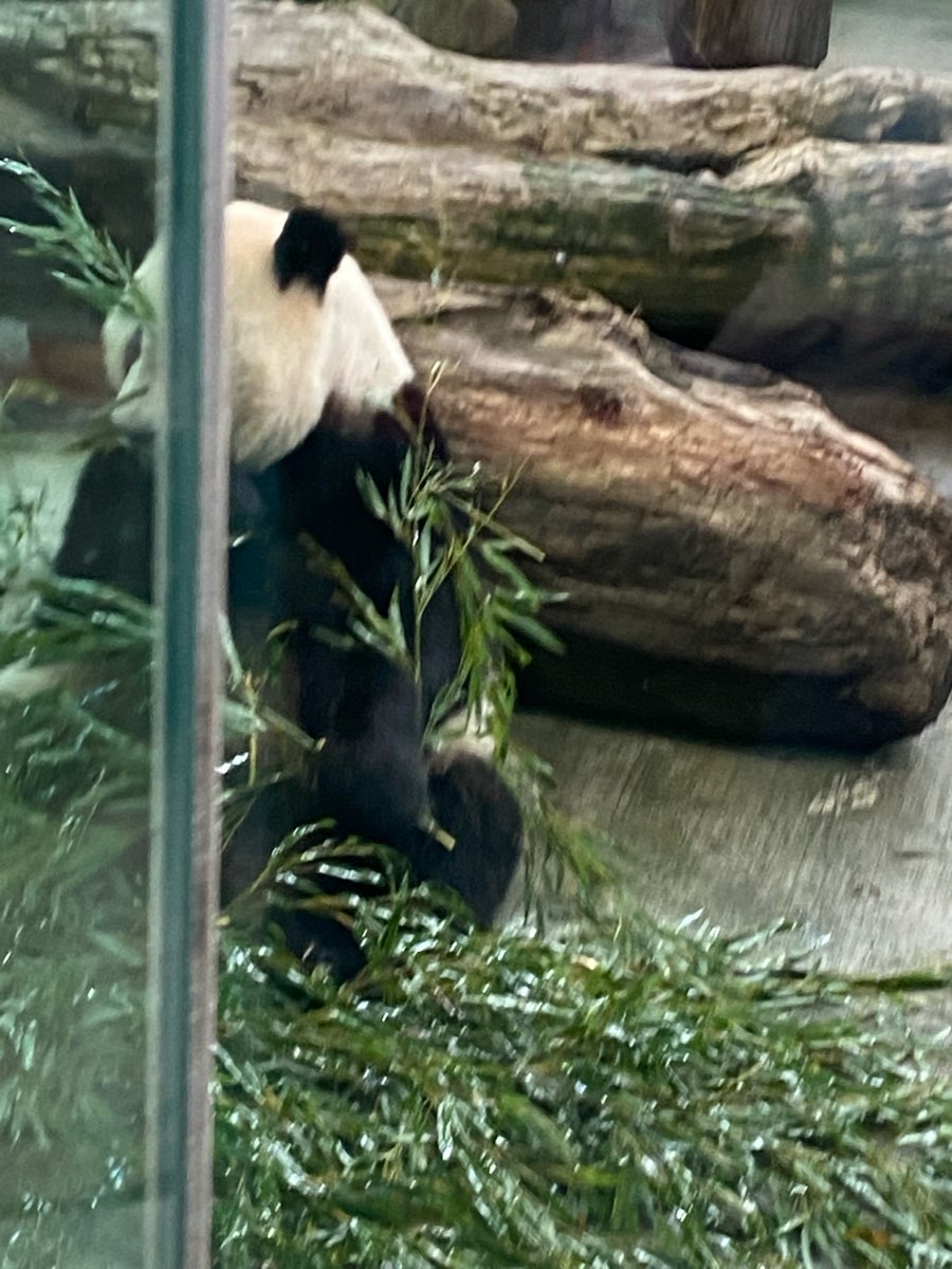 臺北市立動物園 | 去趣 chicTrip