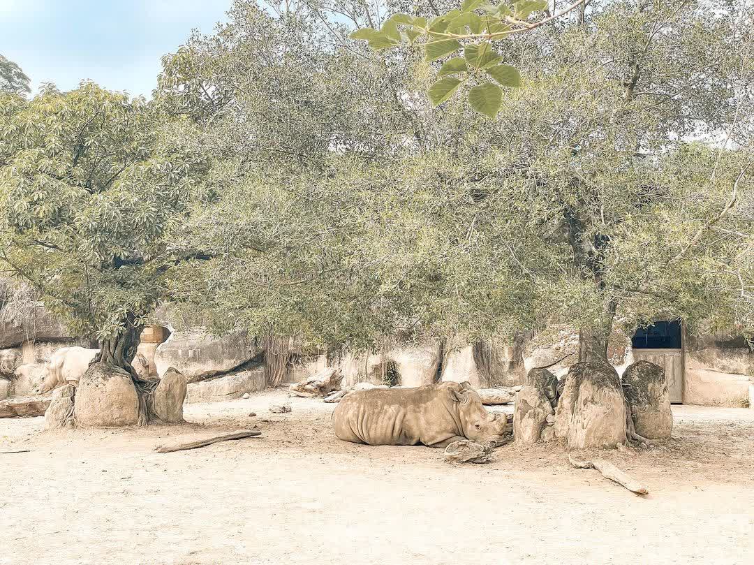 臺北市立動物園 | 去趣 chicTrip