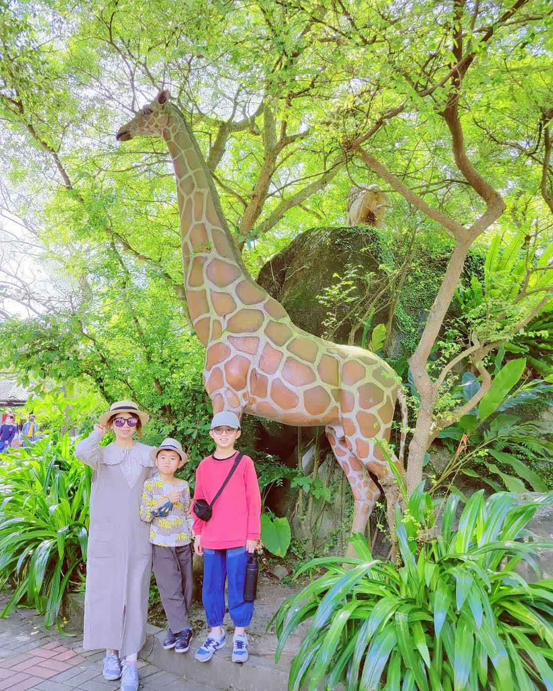 臺北市立動物園 | 去趣 chicTrip