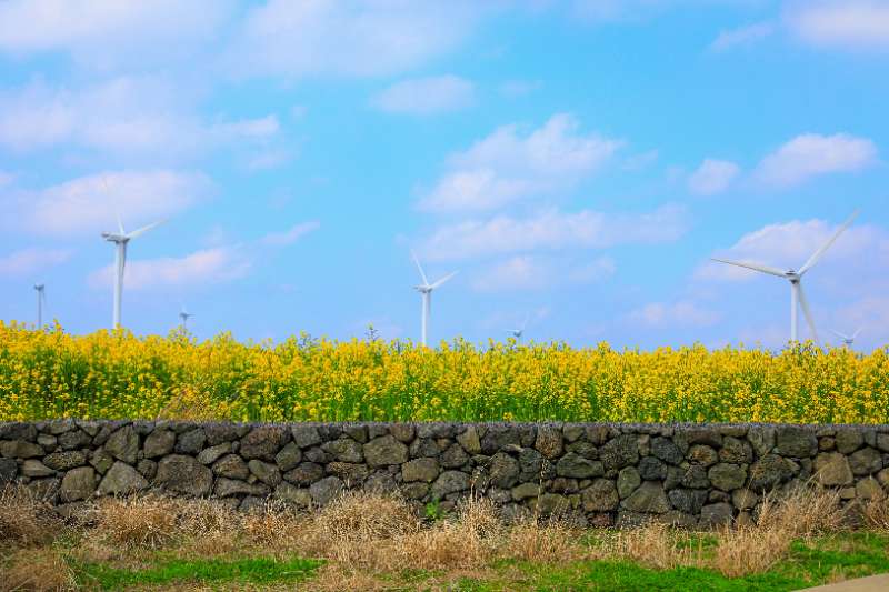 濟州森林小火車之旅：從山海到星空 - 去趣官方推薦 | 去趣 chicTrip
