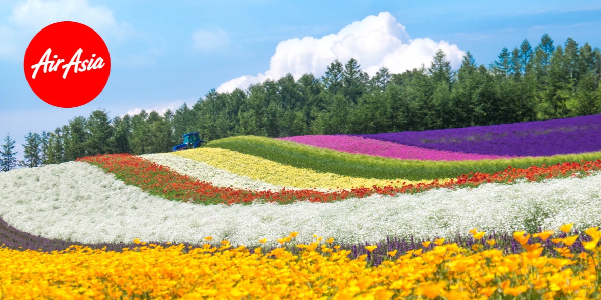 AirAsia台北直飛札幌(新千歲) 快樂避暑去✈️ - AirAsia Taiwan | 去趣 chicTrip