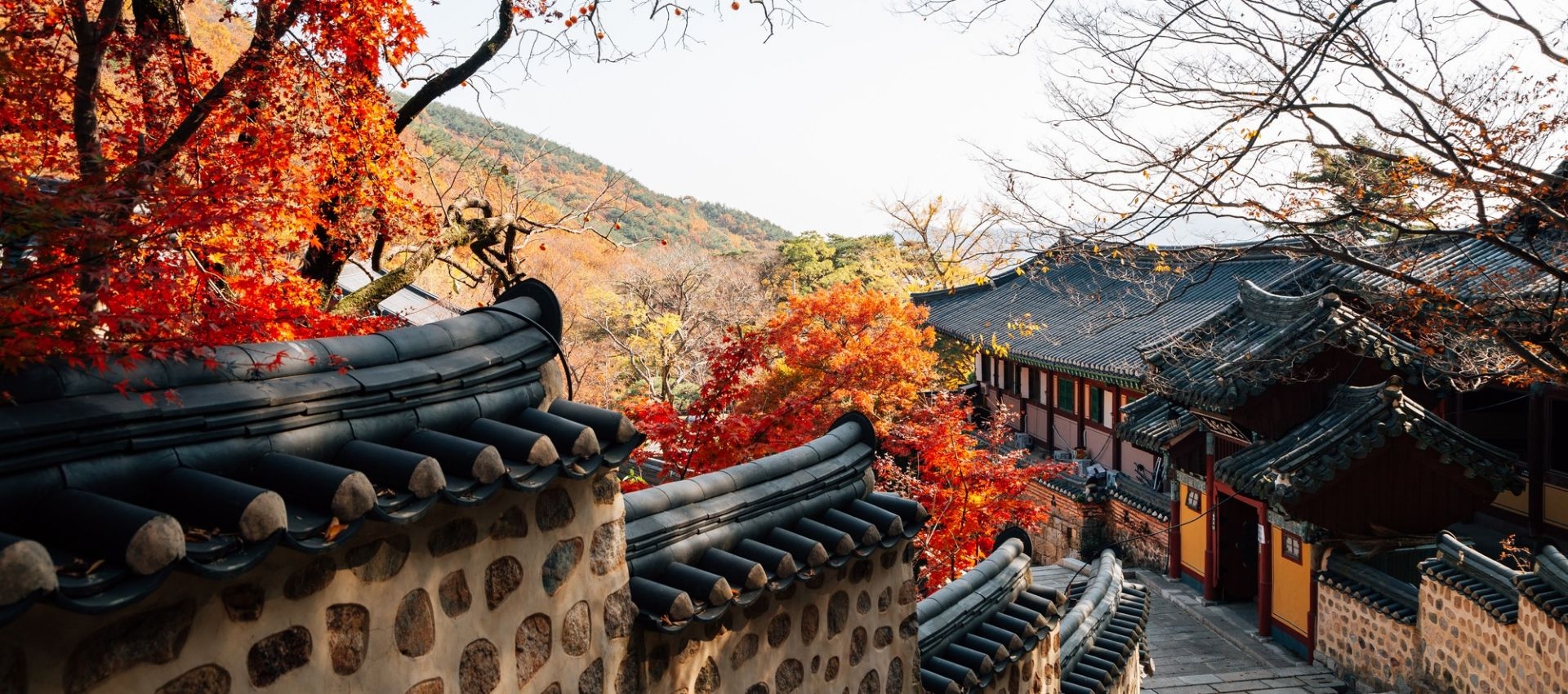 不踩雷《釜山三日遊》市場x海景x楓葉 - 去趣官方合作 | 去趣 chicTrip