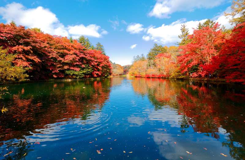 伊豆輕井澤渡假♨️ - 王莎拉 | 去趣 chicTrip