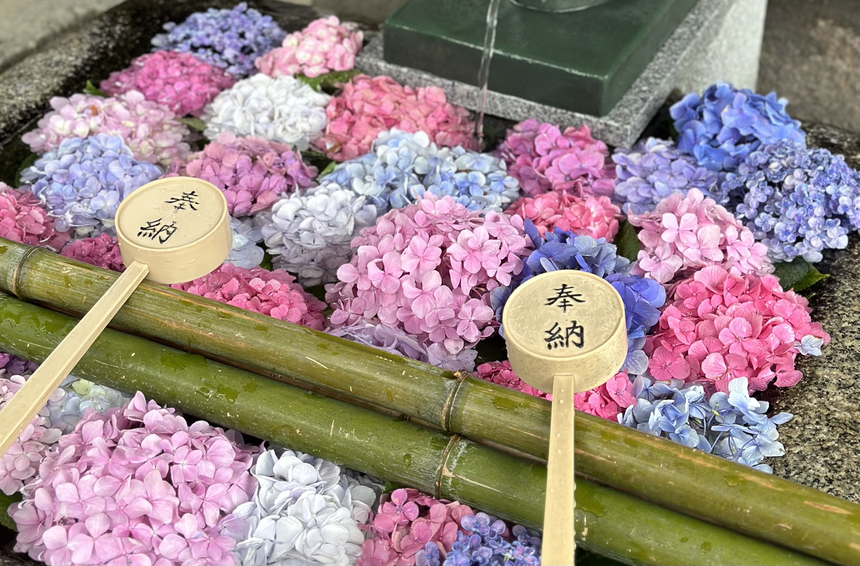 日本京都一日遊 - 去趣官方合作 | 去趣 chicTrip