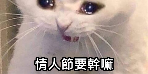 一個人的情人節🥲 - 去趣編輯部 | 保編 | 去趣 chicTrip