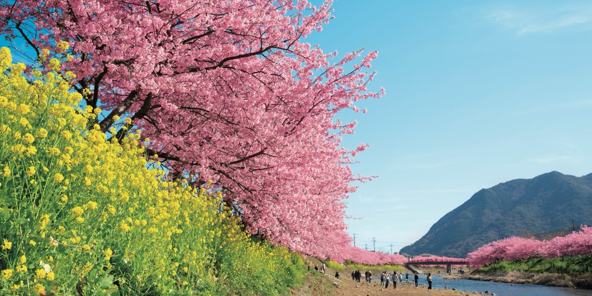 浪漫首選 |「靜岡・伊豆」旅行特輯 - 靜岡縣駐台辦事處 | 去趣 chicTrip