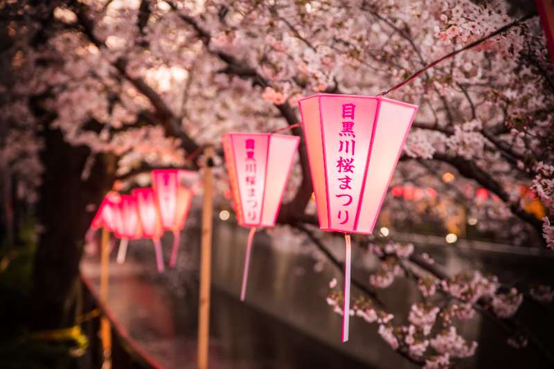 東京都會上質女子賞櫻散策！🥰千代田能樂欣賞與淺草參拜~三天兩夜 - 去趣編輯部 | 茱蒂リリ編 | 去趣 chicTrip