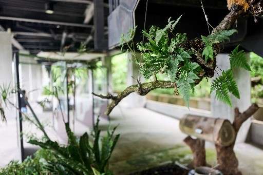 【亮點選拔】175香繞行~品味仙湖特色在地風情 - 喔熊組長 | 去趣 chicTrip