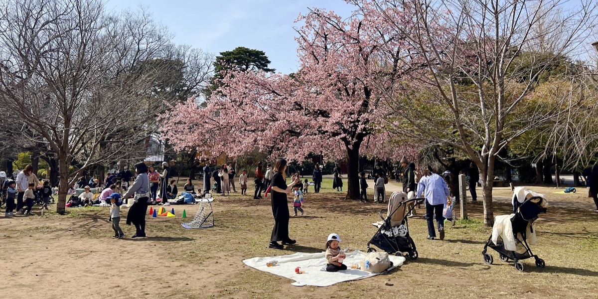 2025東京賞櫻熱鬧版🥳🌸：上野恩賜公園、隅田公園、目黑川夜櫻 - CJ夫人 | 去趣 chicTrip