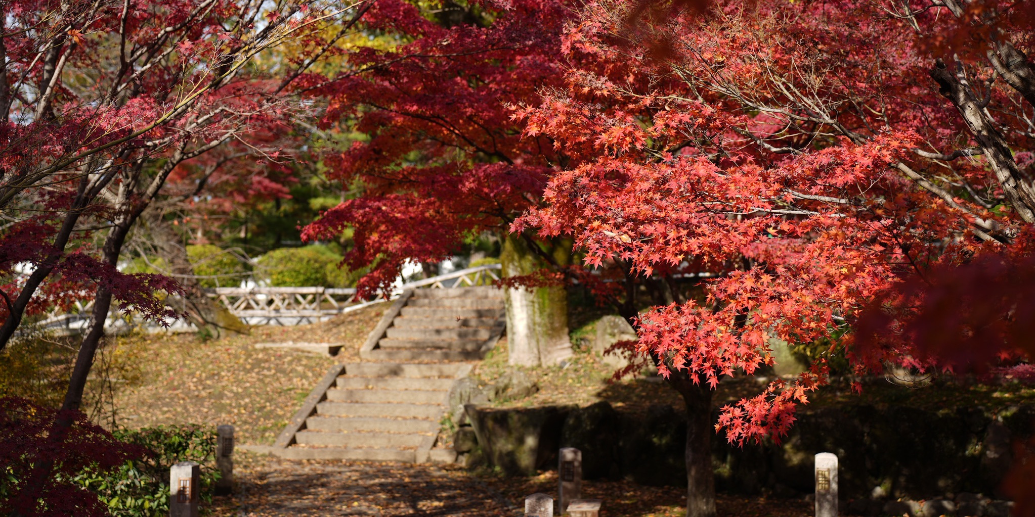冬日快閃京都4日輕旅行⛩️ - chuchu | 去趣 chicTrip