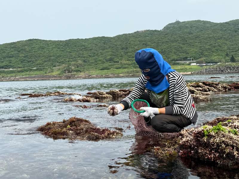 【亮點選拔】卯澳漁村里海生活與海女文化體驗  - 喔熊組長 | 去趣 chicTrip