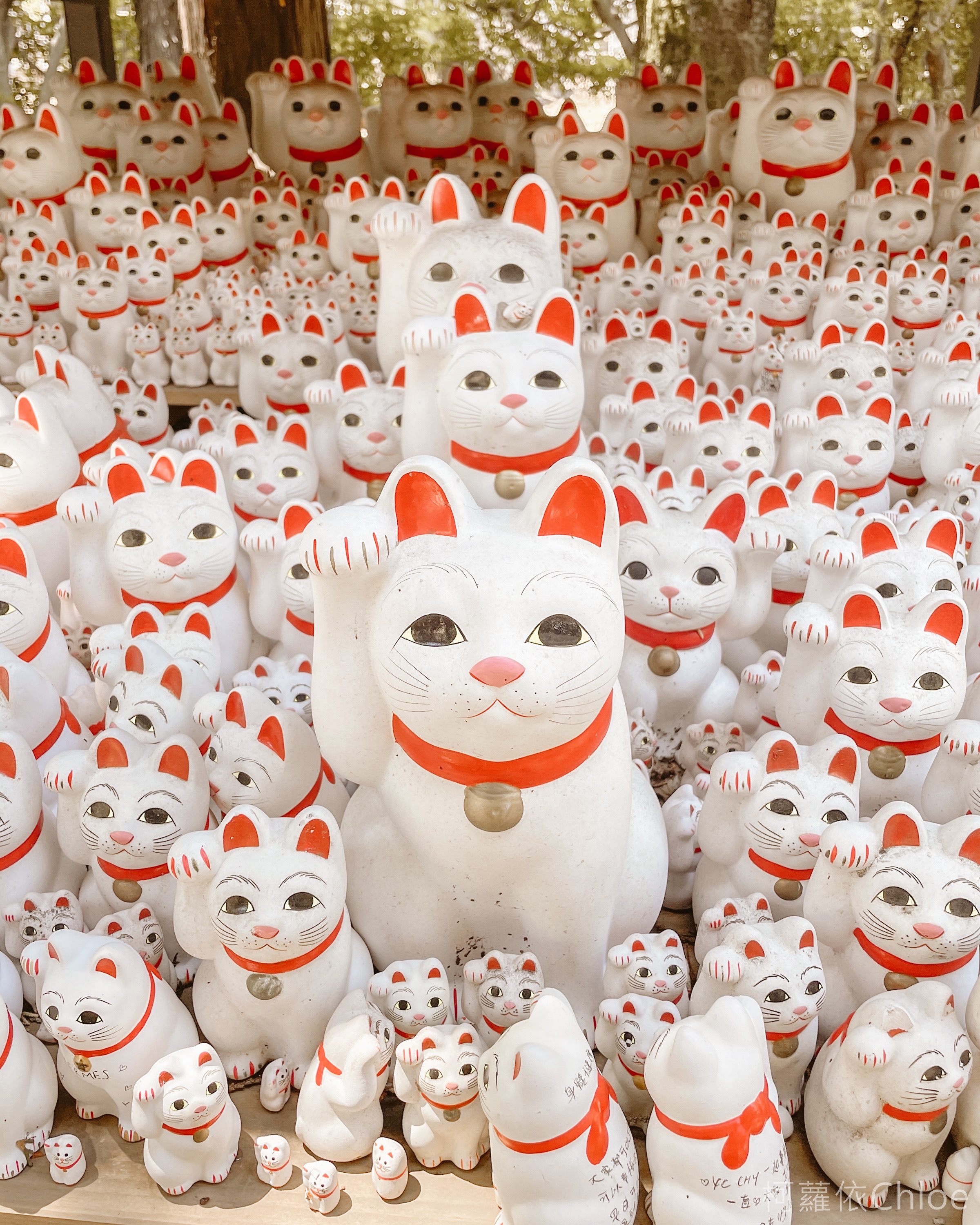 東京五日親子遊：迪士尼/水族館/淺草 - 去趣官方合作 | 去趣 chicTrip