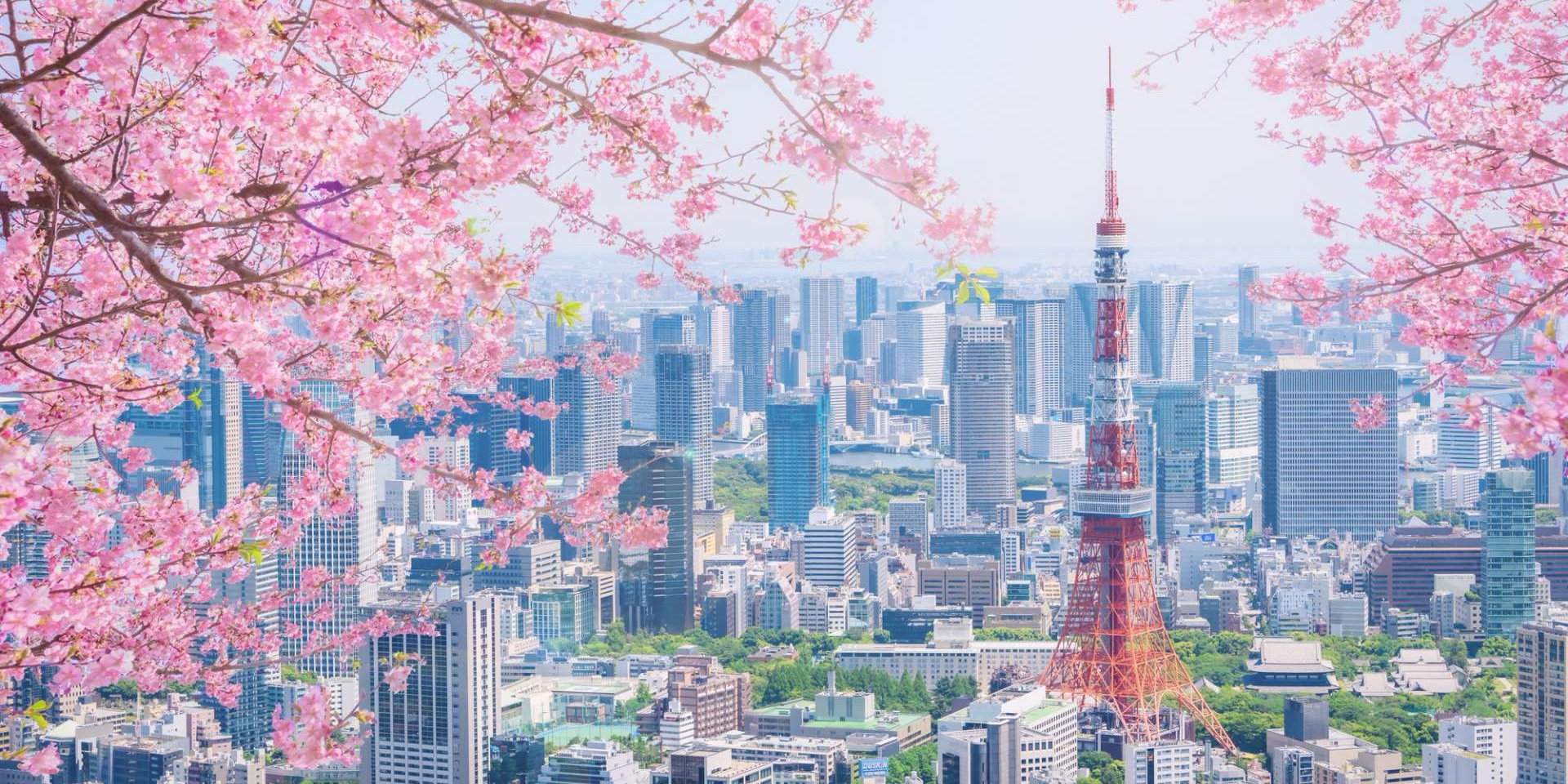東京賞櫻與經典美食全攻略六天五夜🌸 - 去趣官方合作 | 去趣 chicTrip