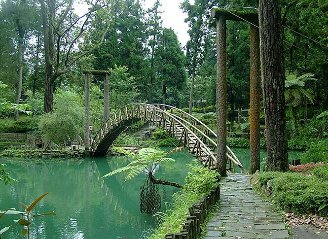 【亮點選拔】茶竹森林療育 - 喔熊組長 | 去趣 chicTrip