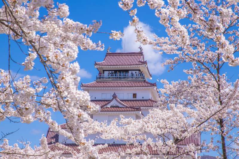 「福島を満喫！」春旅必訪景點5選 - 去趣編輯部｜蘇菲編 | 去趣 chicTrip
