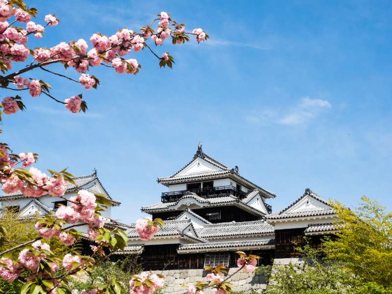 四國松山神隱少女快閃之旅💫 - 王莎拉 | 去趣 chicTrip