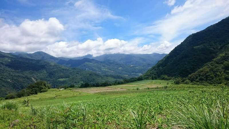 台東親近大自然放鬆之旅 - 去趣編輯部｜鈞編 | 去趣 chicTrip