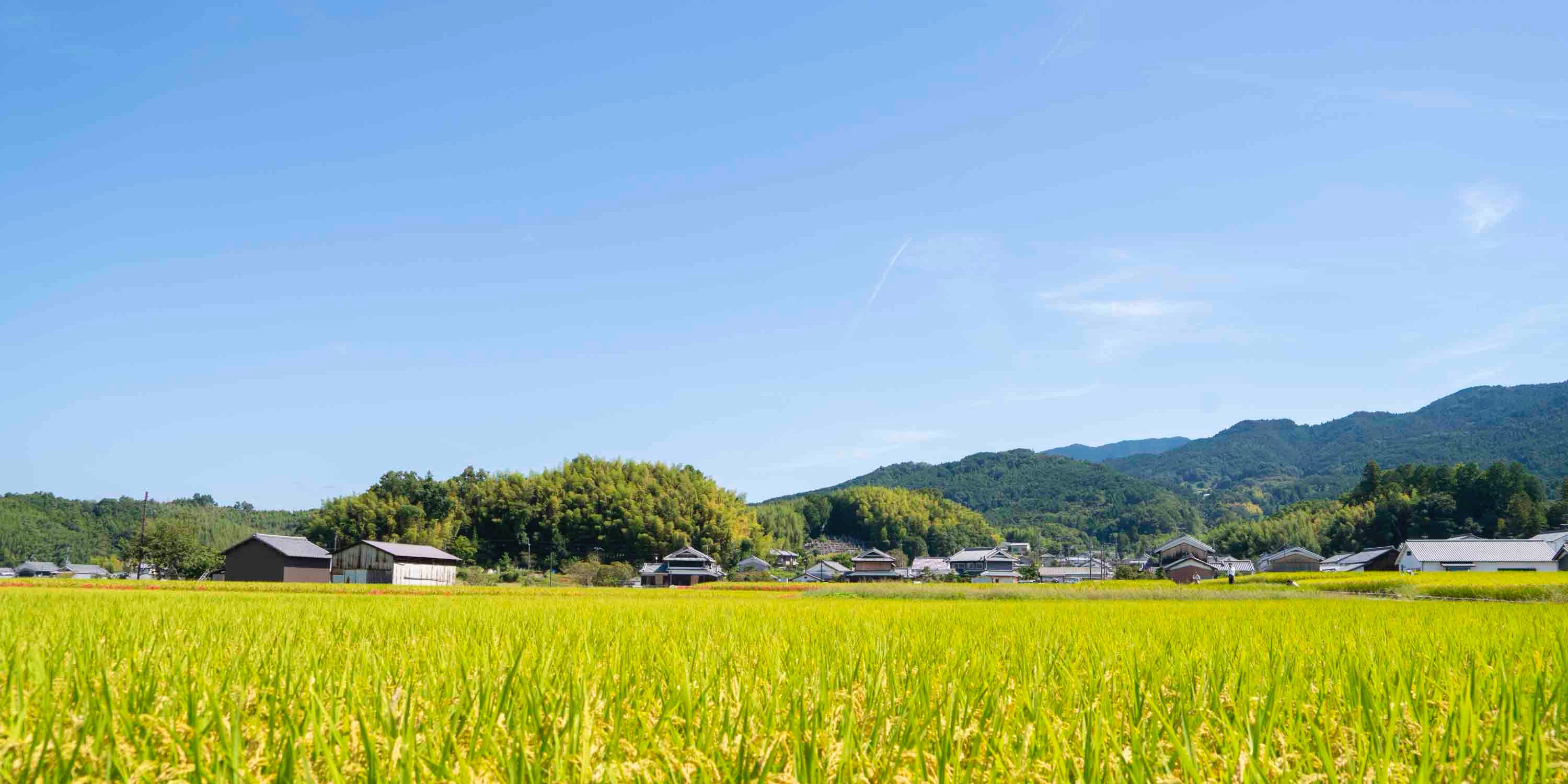 📍<飛鳥時代旅行>兩天一夜深入奈良！ - 去趣官方推薦 | 去趣 chicTrip